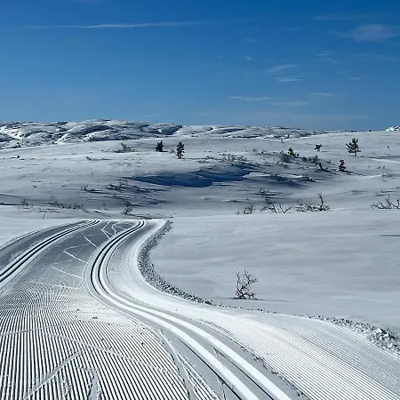 Ferienhaus Modern At Bortelid *