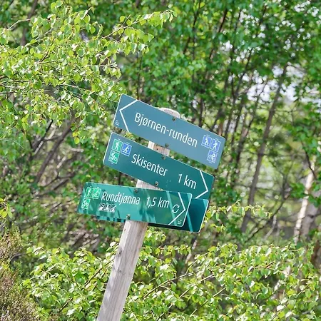 Modern At Bortelid Ferienhaus