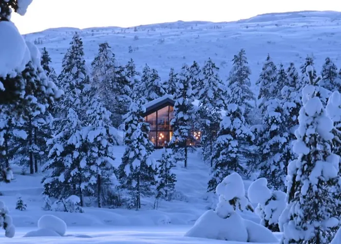 Modern At Bortelid Feriehus Tjaldal